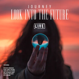 Album picture of Look into the Future (Live)