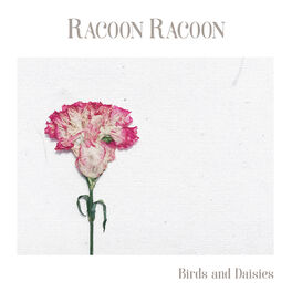 Album cover of Birds and Daisies