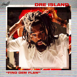 Album cover of Find Dem Flaw