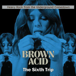 Album picture of Brown Acid - The Sixth Trip
