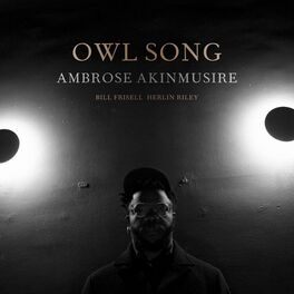 Album cover of Owl Song 1 (feat. Bill Frisell & Herlin Riley)