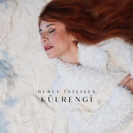 Album cover of Kül Rengi