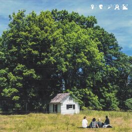 Album cover of Are We Going Too Slow?
