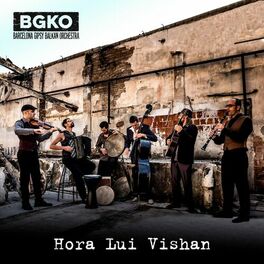 Album cover of Hora Lui Vishan