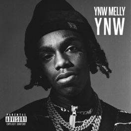 Album cover of YNW