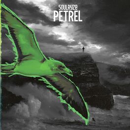 Album cover of Petrel