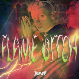 Album cover of Flame Bitch