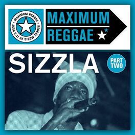 Album cover of Maximum Reggae, Pt. 2