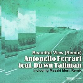 Album cover of Beautiful View (Remix)