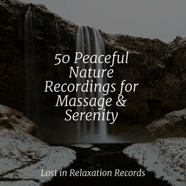 Album cover of 50 Peaceful Nature Recordings for Massage & Serenity