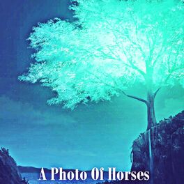Album cover of A Photo Of Horses