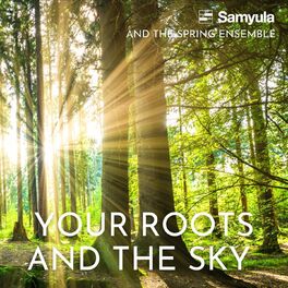 Album cover of Your Roots and the Sky