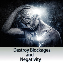 Album cover of Destroy Blockages and Negativity