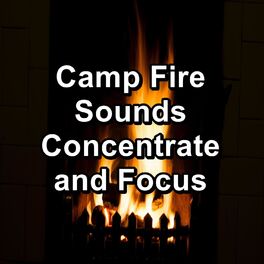 Album cover of Camp Fire Sounds Concentrate and Focus