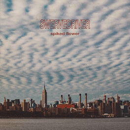 Album cover of Spiked Flower