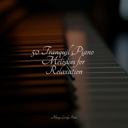 Album cover of 50 Tranquil Piano Melodies for Relaxation