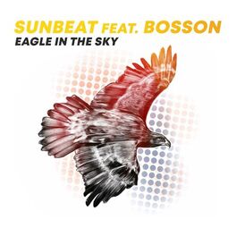 Album cover of Eagle in the Sky (feat. Bosson)