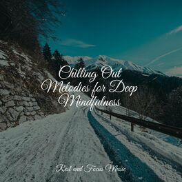 Album cover of Chilling Out Melodies for Deep Mindfulness