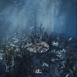 Album cover of Nightscape
