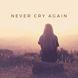 Album cover of Never Cry Again (Remixes)