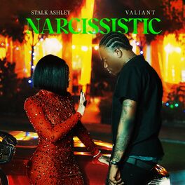 Album cover of Narcissistic