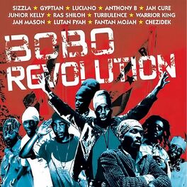 Album cover of Bobo Revolution