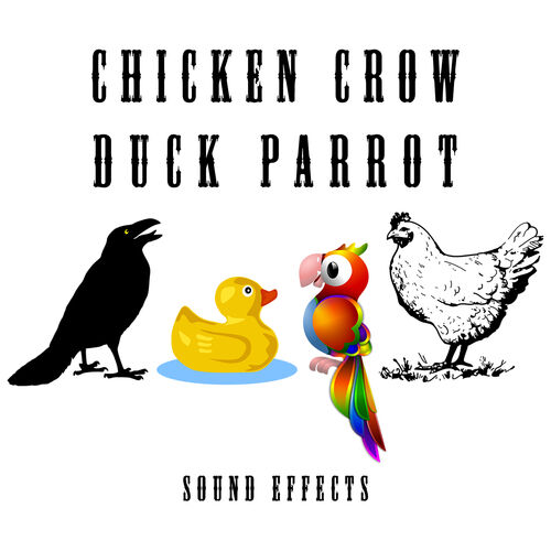 Text Tones and Ringtones - Chicken Cluck: listen with lyrics | Deezer