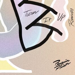 Album cover of Turn It Up (Remixes)