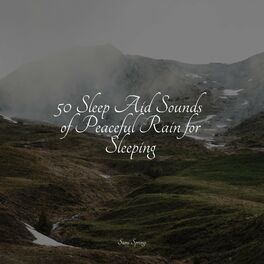 Album cover of 50 Sleep Aid Sounds of Peaceful Rain for Sleeping