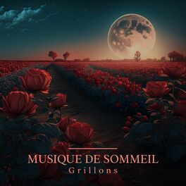 Album cover of Musique de sommeil pour vous aider à vous détendre toute la nuit (Grillons)