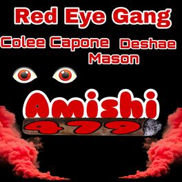 Album cover of Amishi