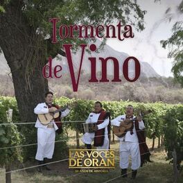 Album cover of Tormenta de Vino