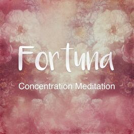 Album cover of Concentration Meditation