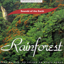Album cover of Rainforest