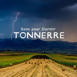 Album cover of Sons pour dormir: Tonnerre