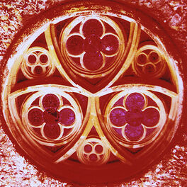 Album cover of Lute & Guitar music of Renaissance Holland, Germany, England, France, Italy, Spain