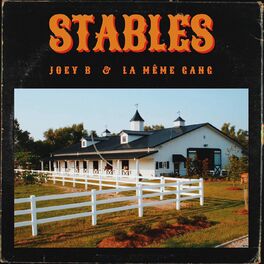 Album cover of Stables