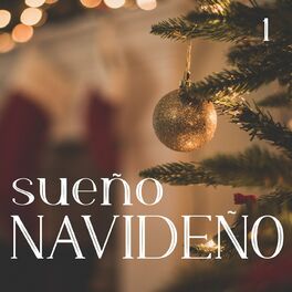Album cover of Sueño Navideño Vol. 1