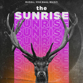 Album cover of The Sunrise