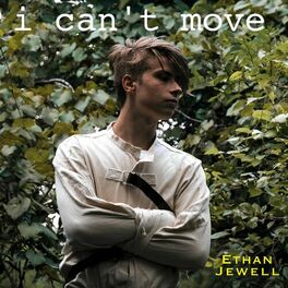 Album cover of I Can't Move