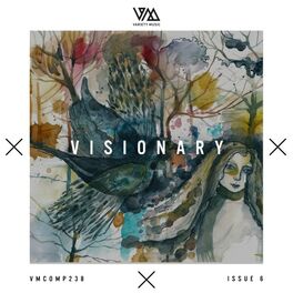 Album cover of Variety Music Pres. Visionary Issue 6