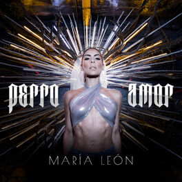 Album cover of Perro Amor