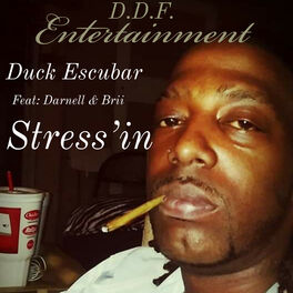 Album cover of Stress'in