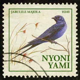 Album cover of Nyoni Yami