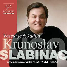 Album cover of VESELA JE ŠOKADIJA