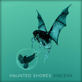 Album cover of Viscera