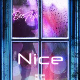 Album cover of Nice