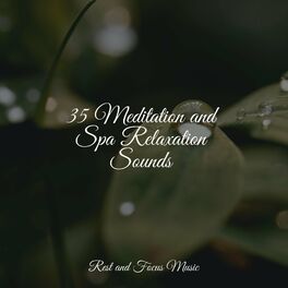 Album cover of NUM Meditation and Spa Relaxation Sounds