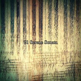 Album cover of 21 Serene Sonata