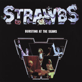 Album cover of Bursting At The Seam